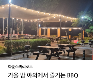 [ȭĦ׸ ]   ߿ܿ  BBQ