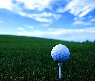 골프이미지